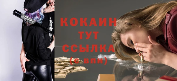 ешки Арсеньев