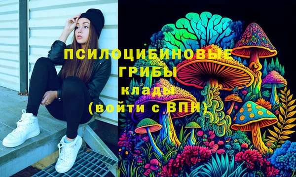 MESCALINE Аркадак