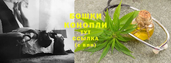 ешки Арсеньев