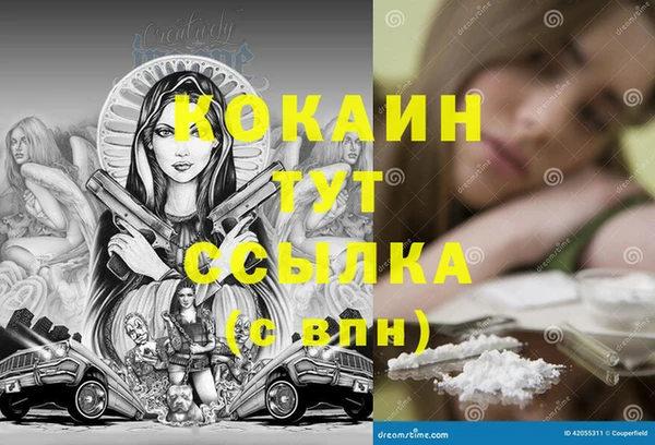 ешки Арсеньев